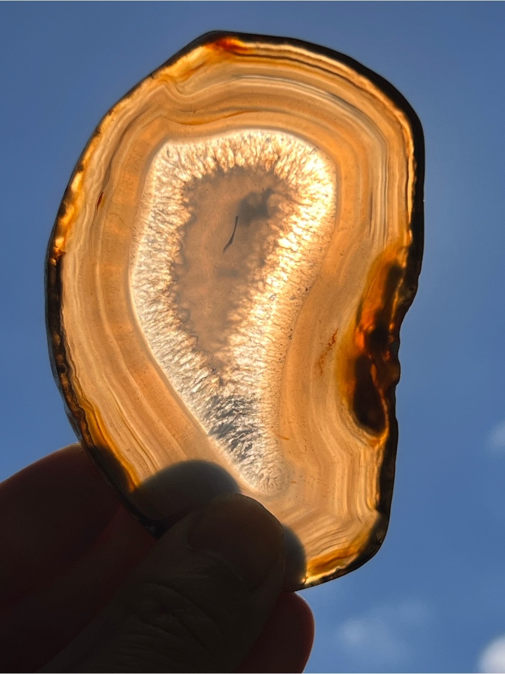 Natural Gray Agate Geode Slice - Home Accents